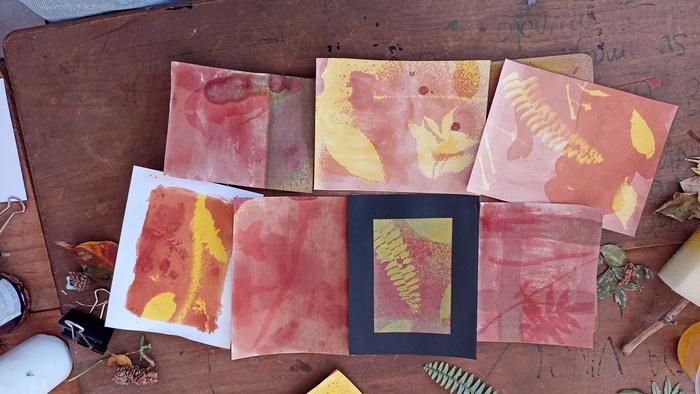 Una foto de celular donde se muestra una mesa con hojas de papel que revelan fotos amarillas de plantas y ramas como helechos, etc., sobre pigmento rojo.