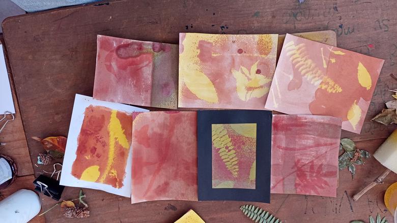 Una foto de celular donde se muestra una mesa con hojas de papel que revelan fotos amarillas de plantas y ramas como helechos, etc., sobre pigmento rojo.